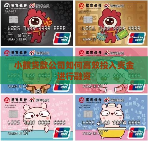 小额贷款公司如何高效投入资金进行融资