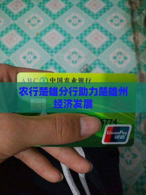农行楚雄分行助力楚雄州经济发展