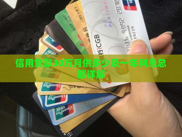 信用贷款30万月供多少及一年利息总额详解