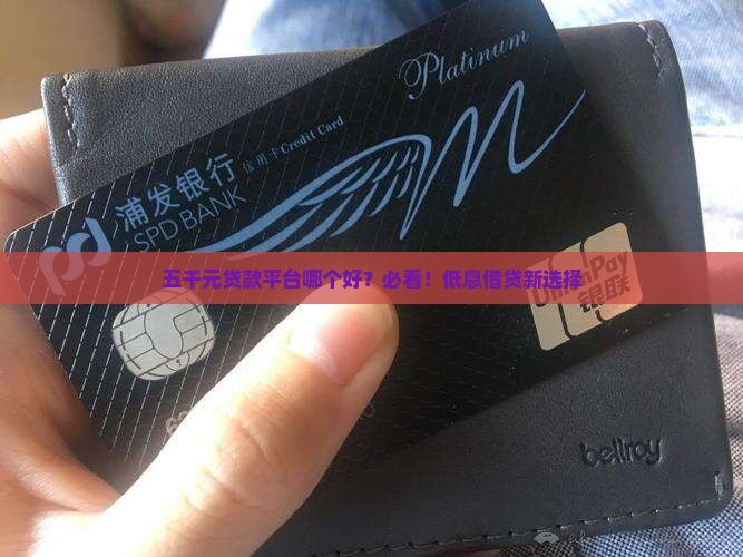 五千元贷款平台哪个好？必看！低息借贷新选择