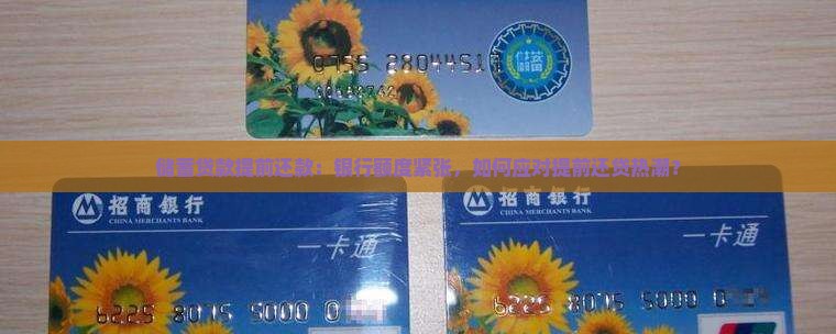 储蓄贷款提前还款：银行额度紧张，如何应对提前还贷热潮？