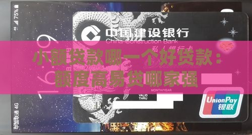 小额贷款哪一个好贷款：额度高易贷哪家强