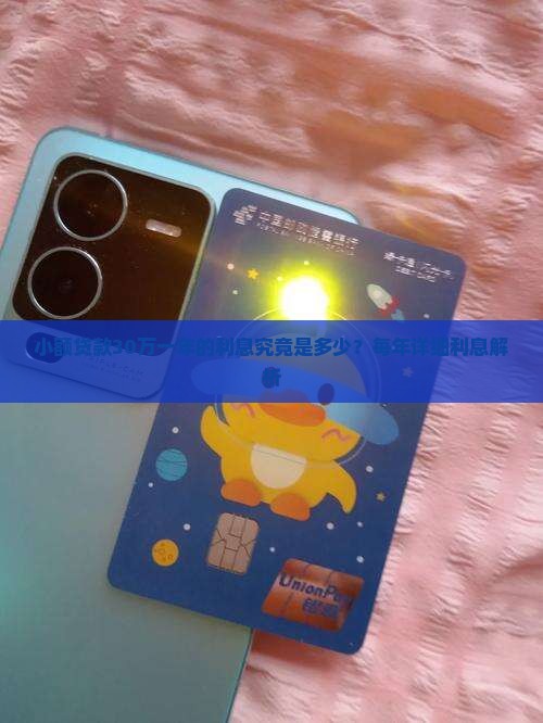 小额贷款30万一年的利息究竟是多少？每年详细利息解析