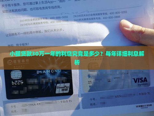 小额贷款30万一年的利息究竟是多少？每年详细利息解析