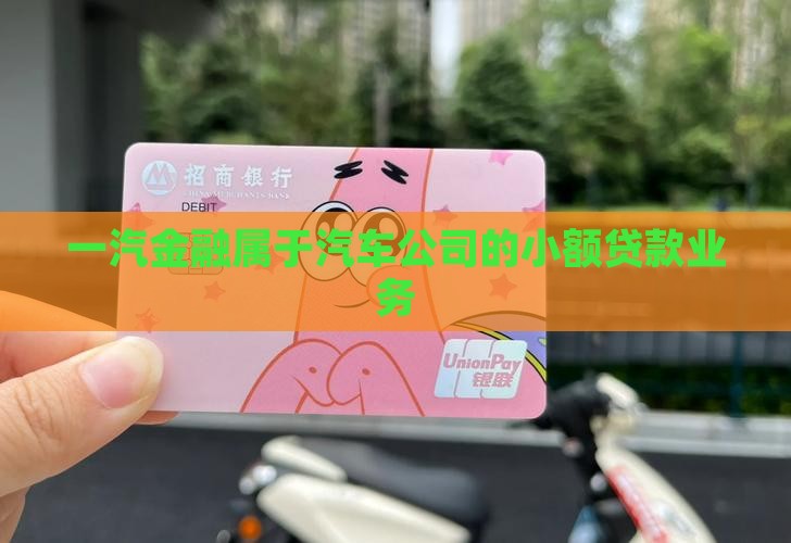 一汽金融属于汽车公司的小额贷款业务