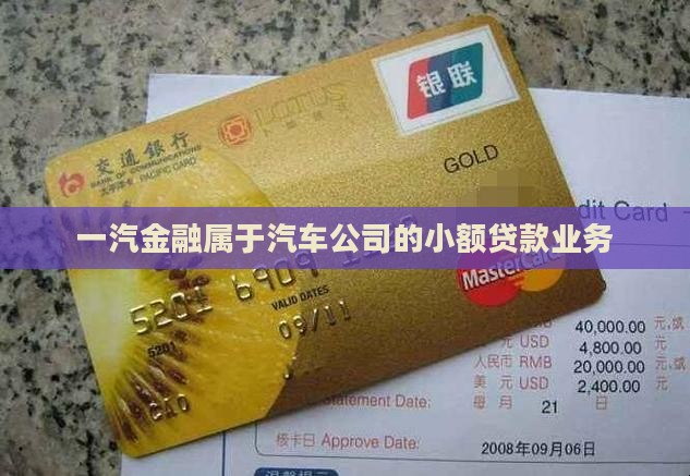 一汽金融属于汽车公司的小额贷款业务