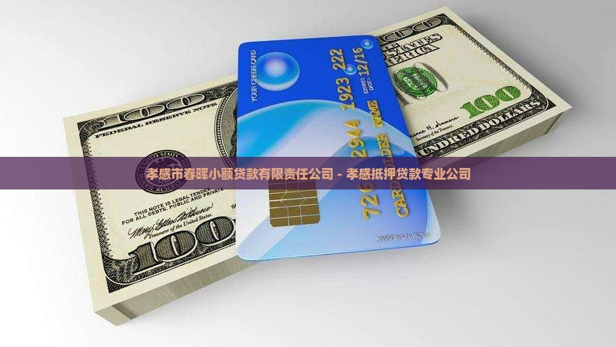孝感市春晖小额贷款有限责任公司 - 孝感抵押贷款专业公司