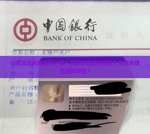 小额贷款利息如何计算？其影响因素有哪些？利息合理性如何评估？