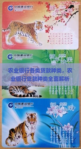 农业银行各类贷款种类