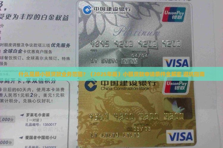 什么是最小额贷款业务范围