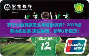 农行的小额贷款怎么办