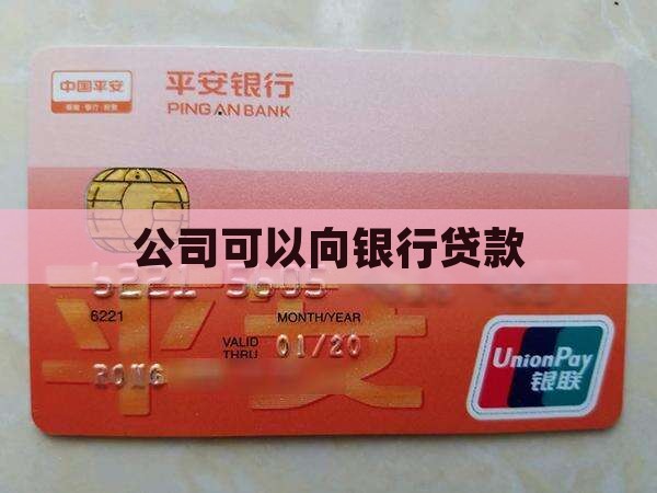 公司可以向银行贷款