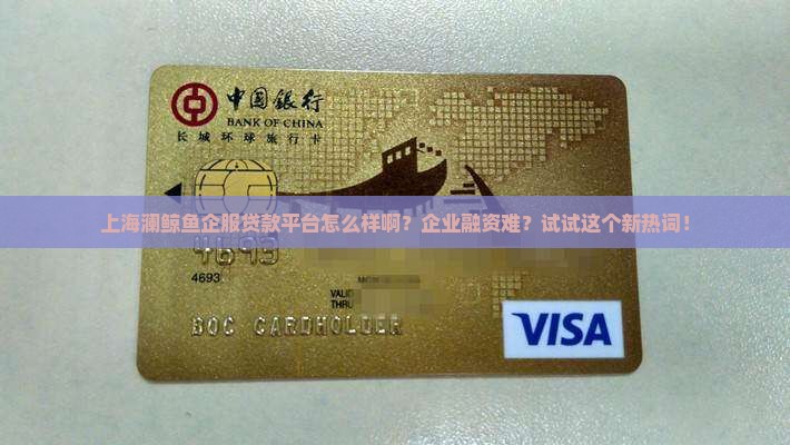 上海澜鲸鱼企服贷款平台怎么样啊
