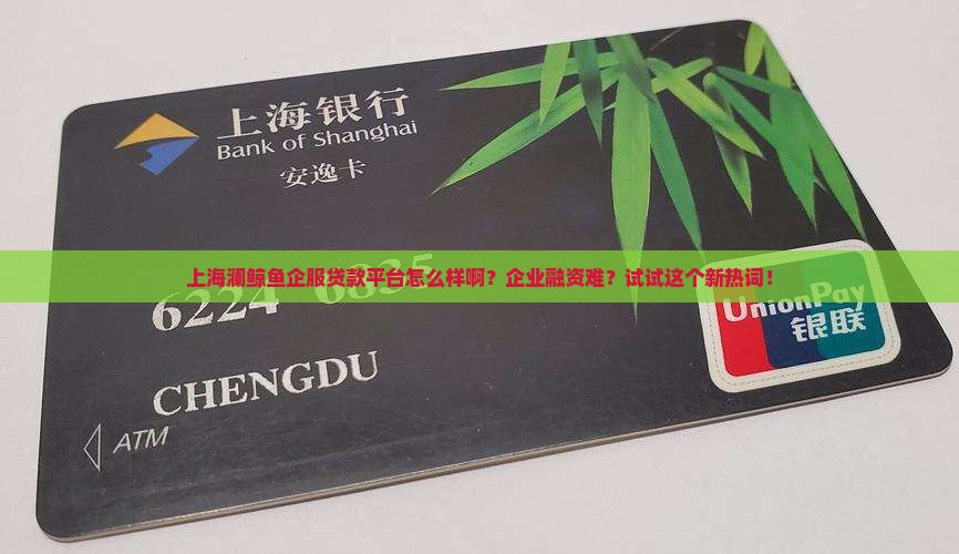 上海澜鲸鱼企服贷款平台怎么样啊