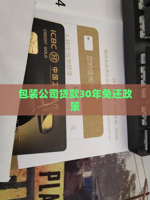包装公司贷款30年免还