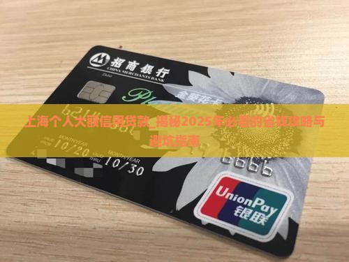 上海个人大额信用贷款