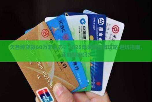 欠各种贷款60万怎么办