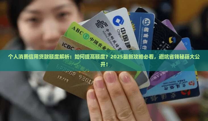 个人消费信用贷款额度