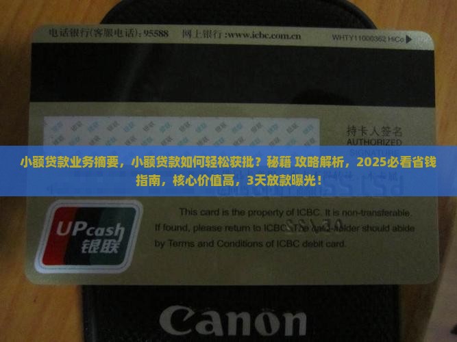 小额贷款业务摘要