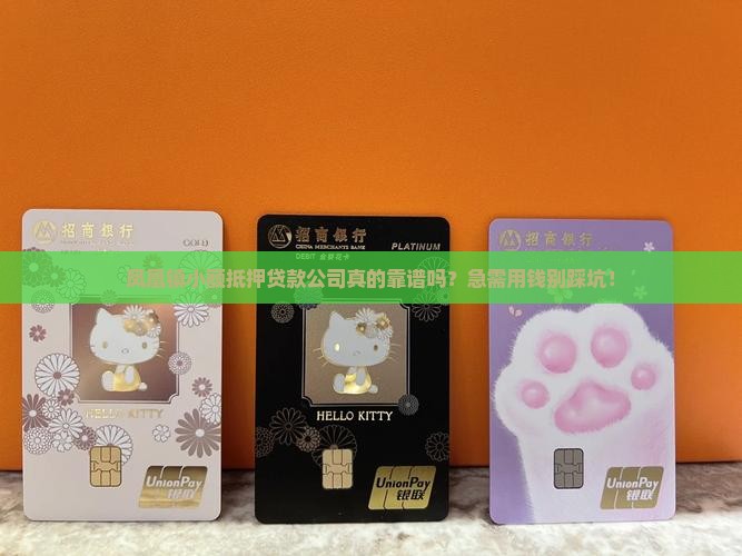 凤凰镇小额抵押贷款公司