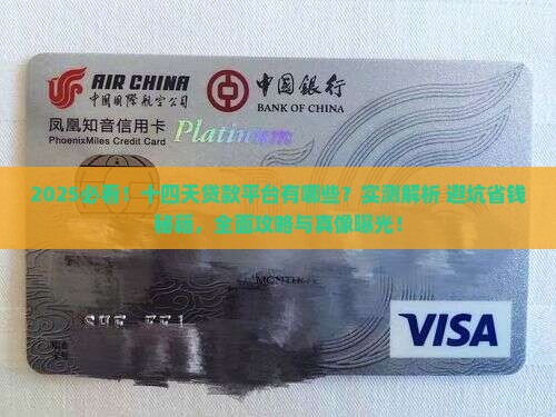 十四天贷款平台有哪些