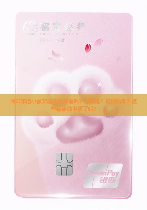 博兴华信小额贷款