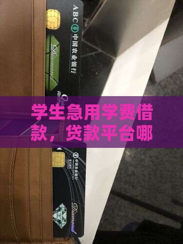 学费贷款平台哪个好用