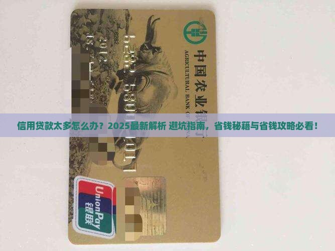 信用贷款太多