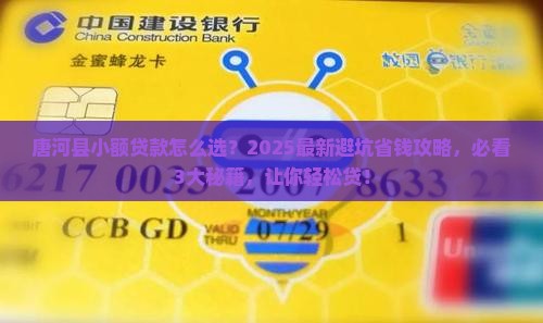 唐河县小额贷款