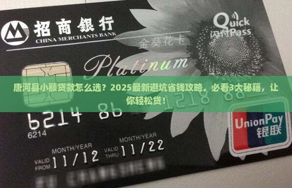 唐河县小额贷款