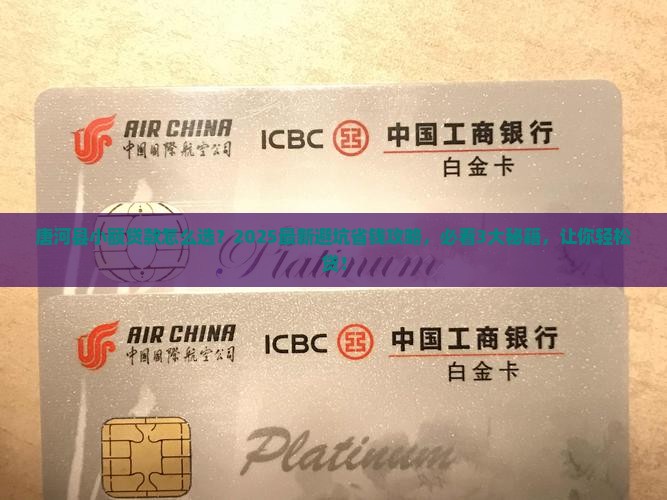 唐河县小额贷款
