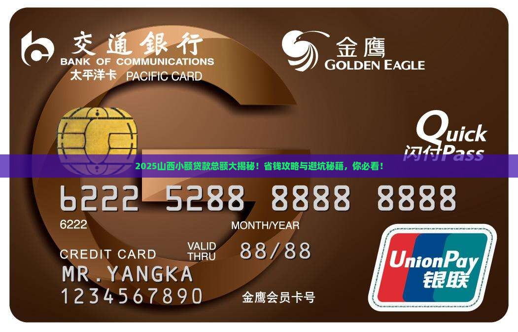 山西小额贷款总额