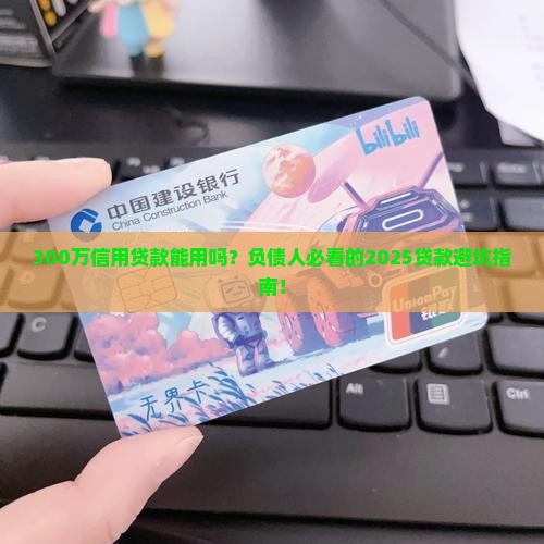 300万信用贷款能用吗