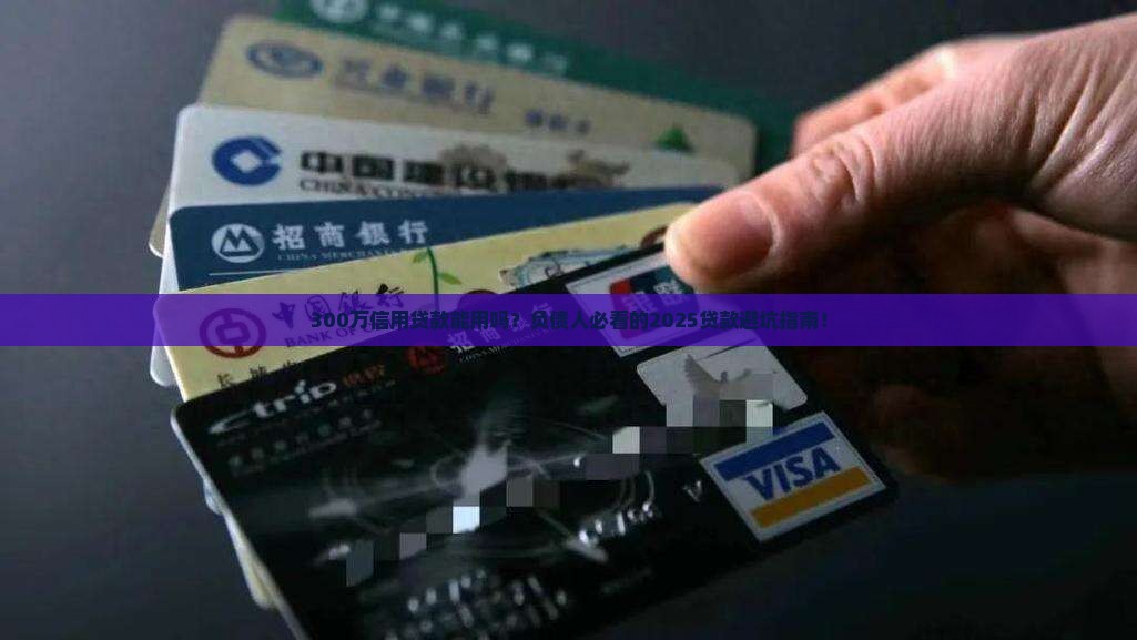 300万信用贷款能用吗
