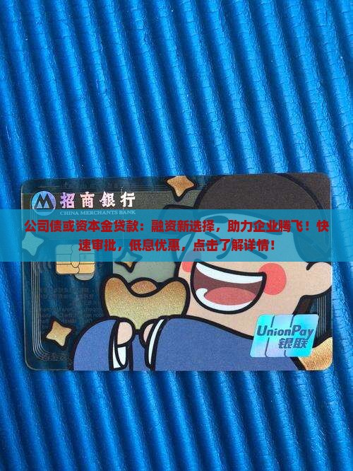 公司债或资本金贷款