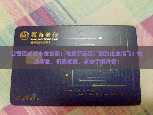 公司债或资本金贷款