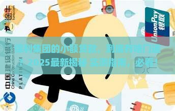 保利集团的小额贷款