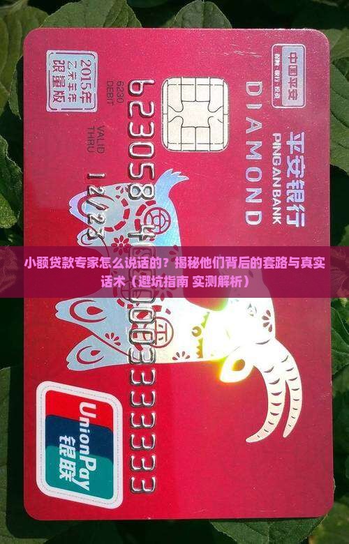 小额贷款专家怎么说话的