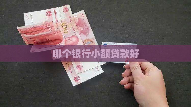 哪家银行放小额贷款好