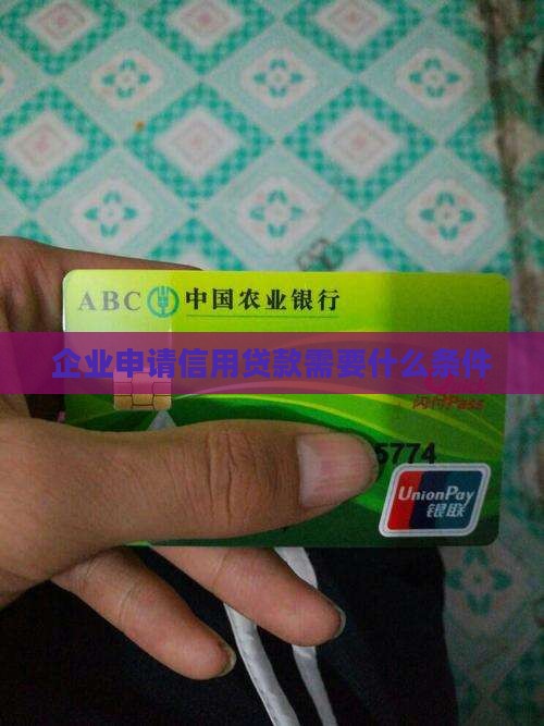 公司信用贷款需要的条件