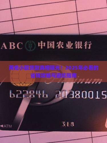 两免小额贷款分调研
