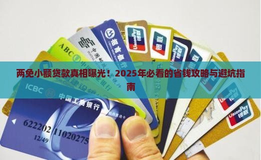 两免小额贷款分调研