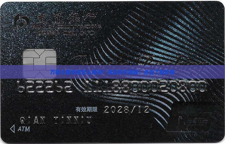 万硕小额贷款怎么样啊