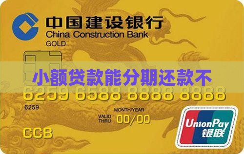 小额贷款能分期还款不