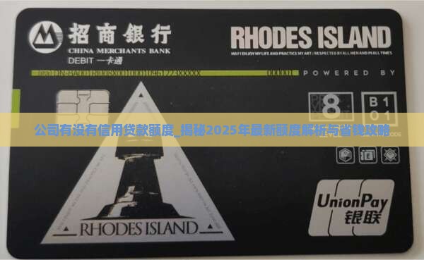 公司有没有信用贷款额度