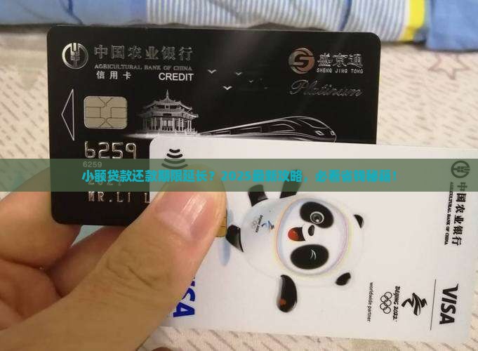 小额贷款延期还款期限