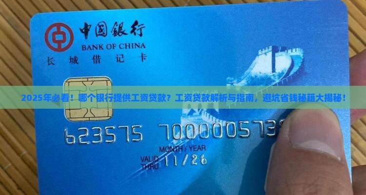 哪个银行里有工资贷款