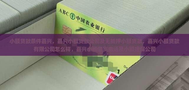 小额贷款条件嘉兴