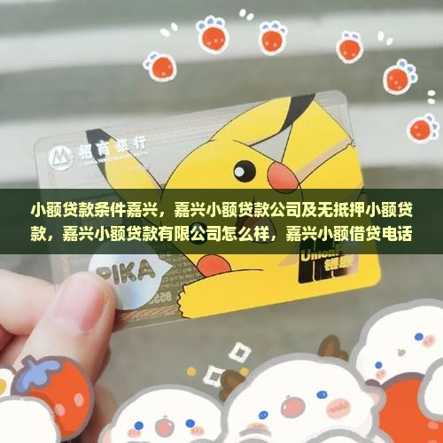 小额贷款条件嘉兴