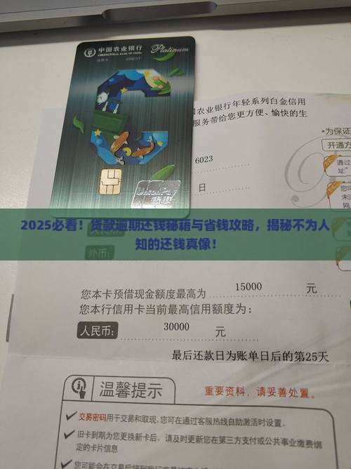 各种贷款逾期怎么还的钱